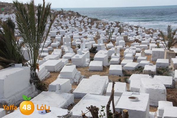 kazakhaknaa106 (3).JPG